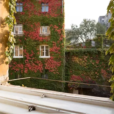 Good Vibes&honey Old Town *