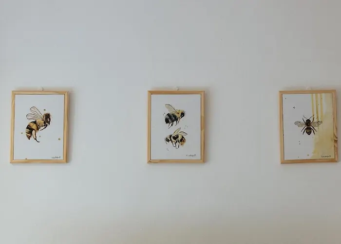 Good Vibes&honey Old Town *