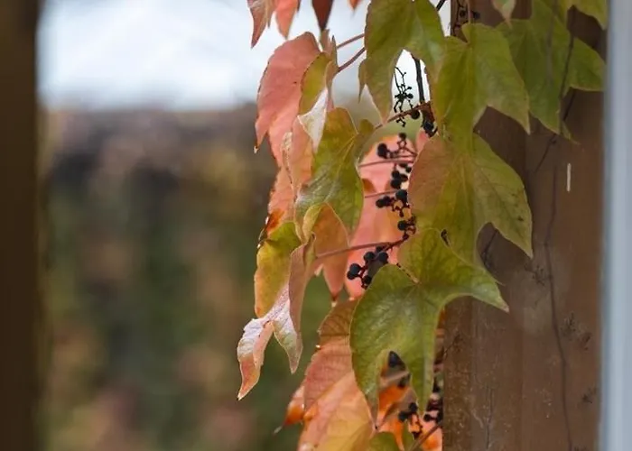 דירה Good Vibes&honey Old Town