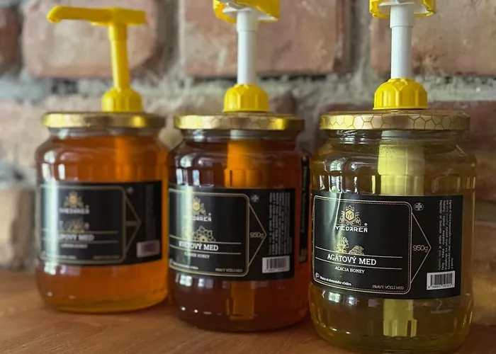 דירה Good Vibes&honey Old Town ברטיסלאבה