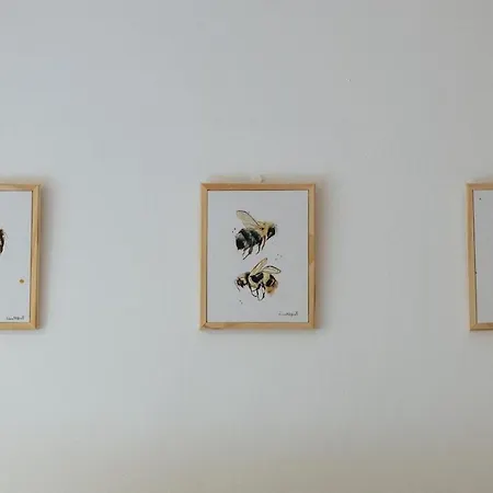 Good Vibes&honey Old Town *