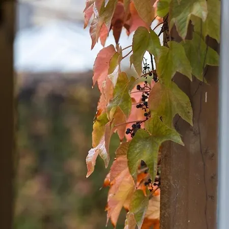 Apartman Good Vibes&honey Old Town