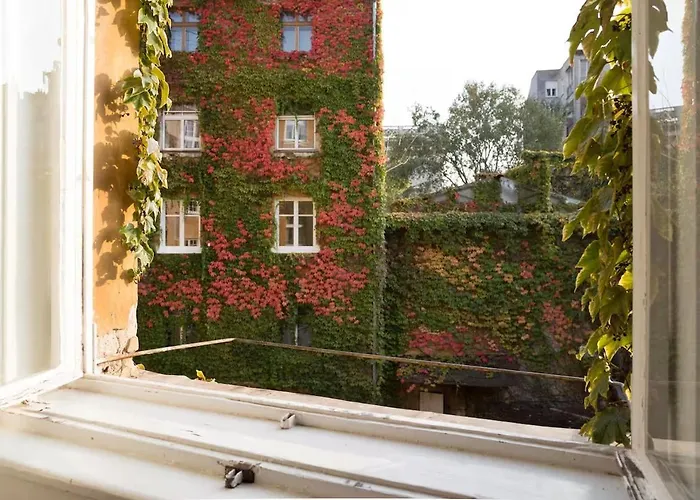 Good Vibes&honey Old Town *